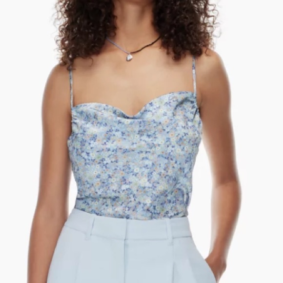 Aritzia Tops - Aritzia Wilfred Floral Allusion Camisole Tank